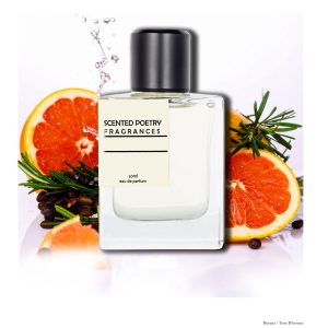 Inspired by Hermes - Terre D'hermes - Image 1